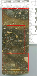 Micromorph sample MM1 from PS3A (FN 30744). This micromorph slab was cut into three 4 x 6 cm blocks to be sent off and made into thin section slides (denoted by red boxes). The three sections were numbered FN 30744-1 through 30744-3. High resolution scans of each of the resulting thins section slides are presented on the right. Thin section analysis is currently underway. 