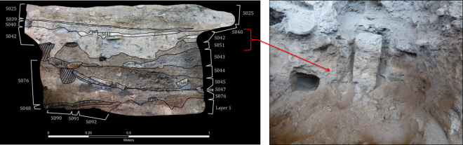 Left: Annotated SfM image of PS3A depicting stratigraphic layers identified during initial recordation; Right: Micromorph block MM1 ready to be removed from profile PS3A. MM1 collected from area where strats S40-42 and S51 were initially recorded, but as you can see, the strats do not quite look like how they did prior to sampling. Note: In situ, many of the strats look like ash deposits. However, as you can see from the MM1 block these “ashy” deposits are not in fact ash, but have a dark-colored matrix with large quantities of rock, charcoal, and other inclusions. The dusty field conditions make it difficult to characterize the strats with a high level of accuracy during initial recording. 